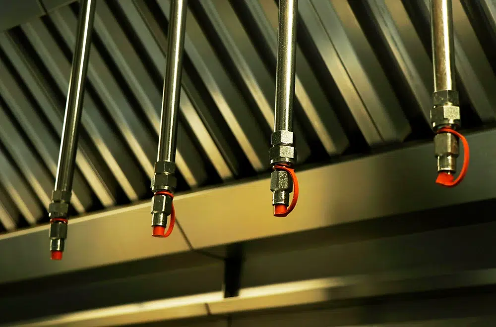suppression system for a hood system